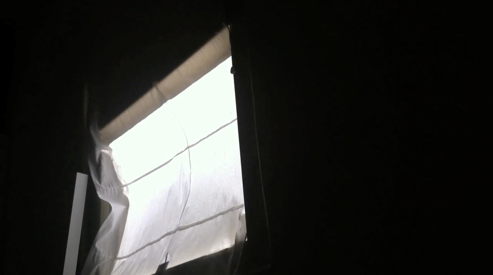 leaky-5